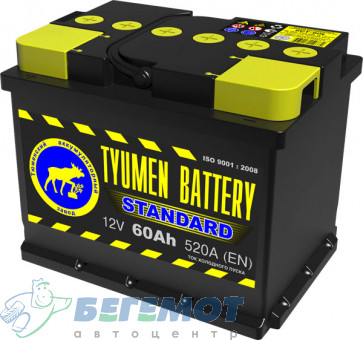 Автомобильный аккумулятор Tyumen Battery Standart 60L в Омске