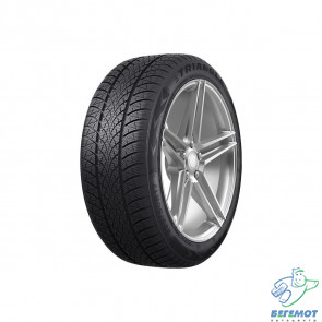 185/70 R14 88T TW401 WinterX TRIANGLE в Омске